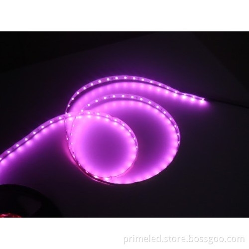 60led/m Pink Led Strip Lights